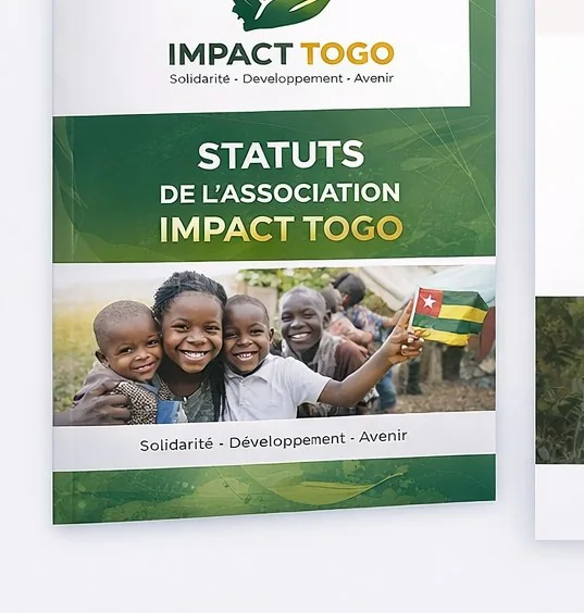 Actions IMPACT TOGO